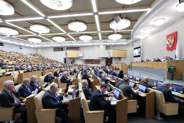 Фото: duma.gov.ru