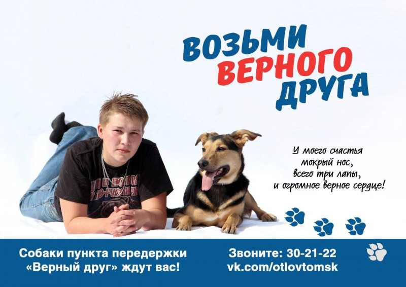 Фотография 1 из 5. 