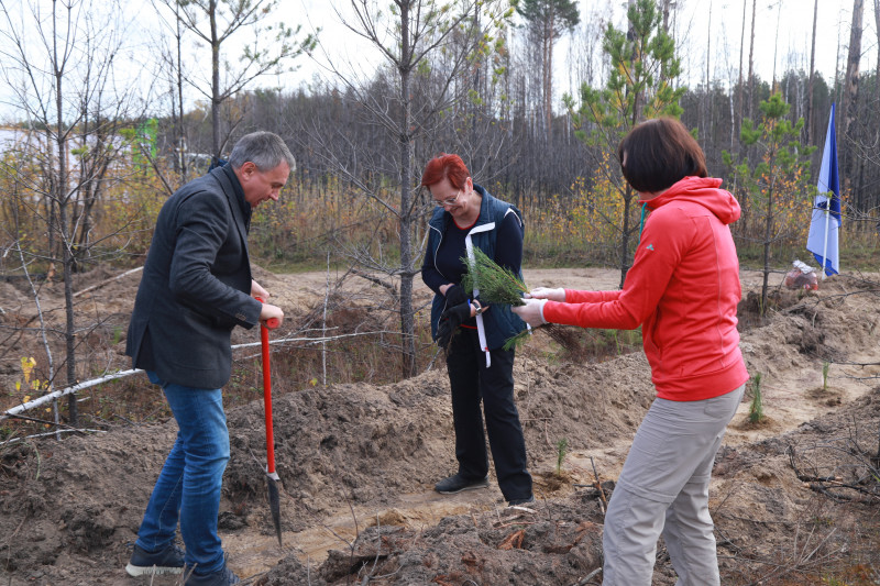 Фотография 10 из 12. 