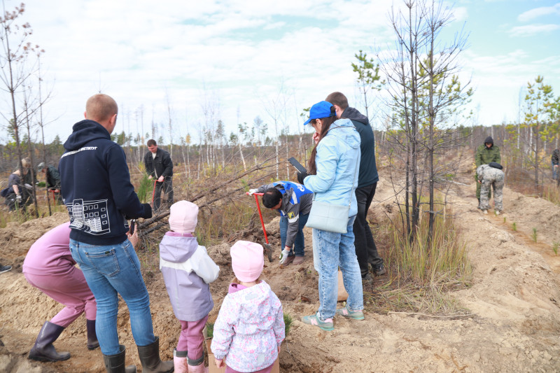 Фотография 11 из 12. 