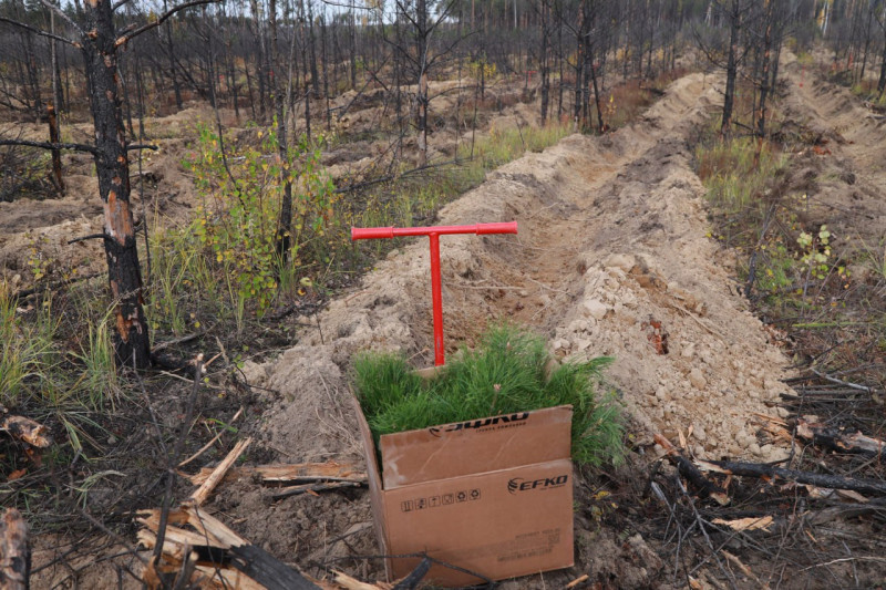 Фотография 1 из 12. 